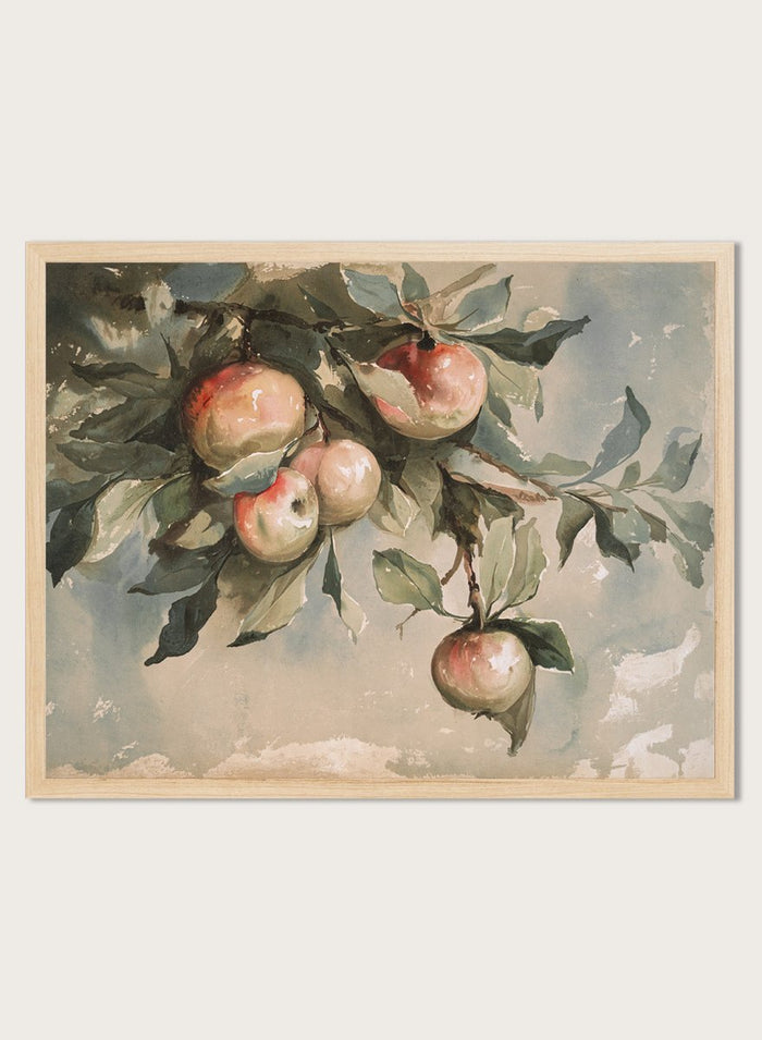 "Study of Apples" Art Print_Sugar & Canvas_Sugar & Canvas