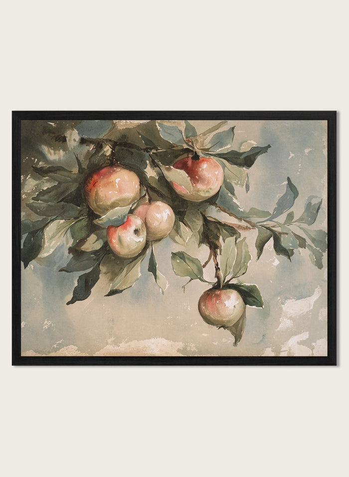 "Study of Apples" Art Print_Sugar & Canvas_Sugar & Canvas
