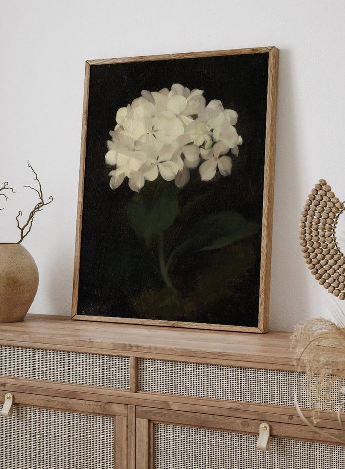 "White Hydrangea" Art Print_Sugar & Canvas_Stuart Park