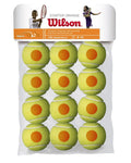 Wilson Starter 12 Pack Tennis Ball - Orange