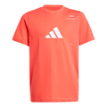 Adidas Y Cathegory Graphic Kids Tennis Tee - Selure