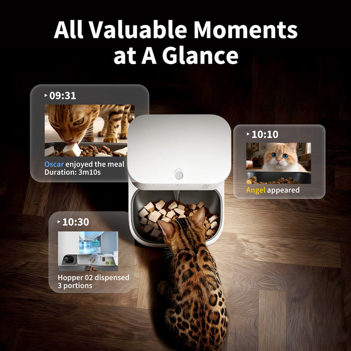 PETKIT YumShare Dual-hopper 2 automatic cat feeder, automatic food dispenser, PETKIT App timeline showing cat activity tracking, feeding videos, and meal records