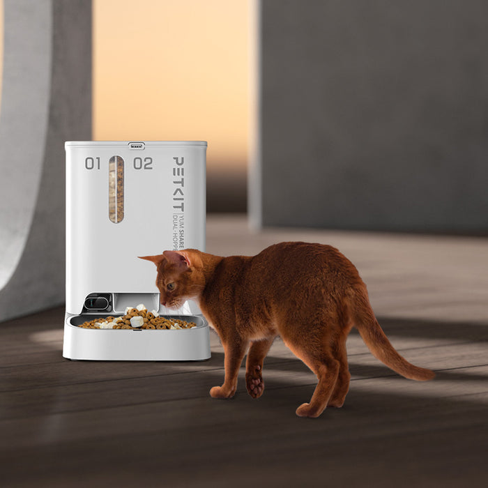 PETKIT YumShare Dual-hopper automatic cat feeder with camera, automatic dispenser, a cat enjoying meals at home