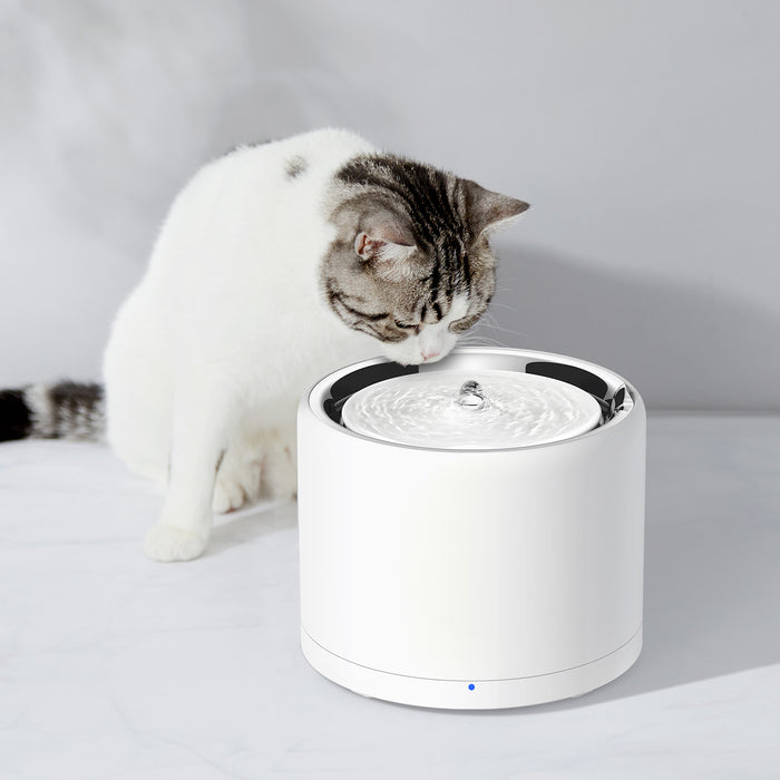 PETKIT EverSweet 3 Pro UVC cat water fountain, cat water dispenser, used by a cat drinking fresh flowing water at home