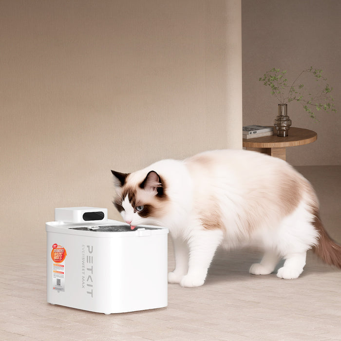 PETKIT EVERSWEET MAX 2 cordless cat water fountain, cat water dispenser, placed in a modern home for cats and small dogs