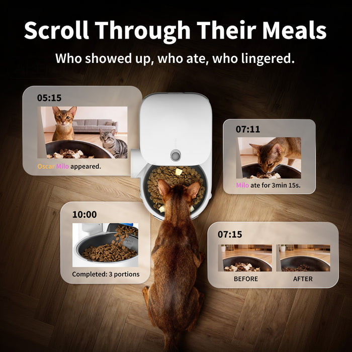 YumShare Solo 2 automatic cat feeder with app timeline tracking pet visits, meals, and feeding activity history